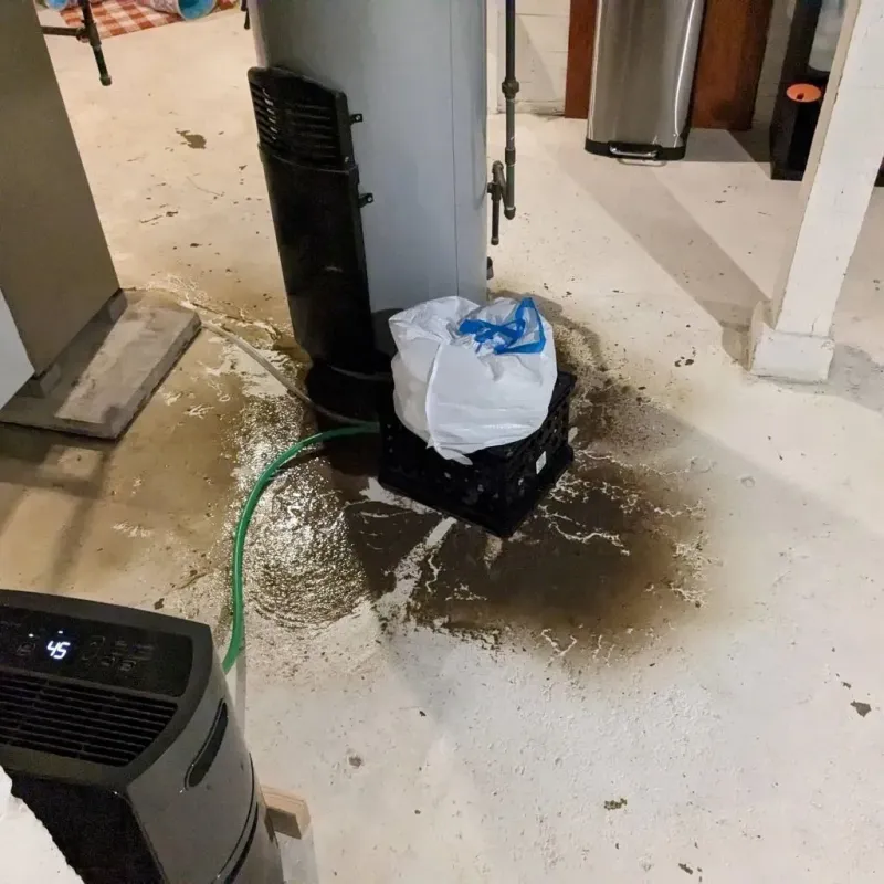 Sewage Backup Cleanup Service in Rock Springs, WY